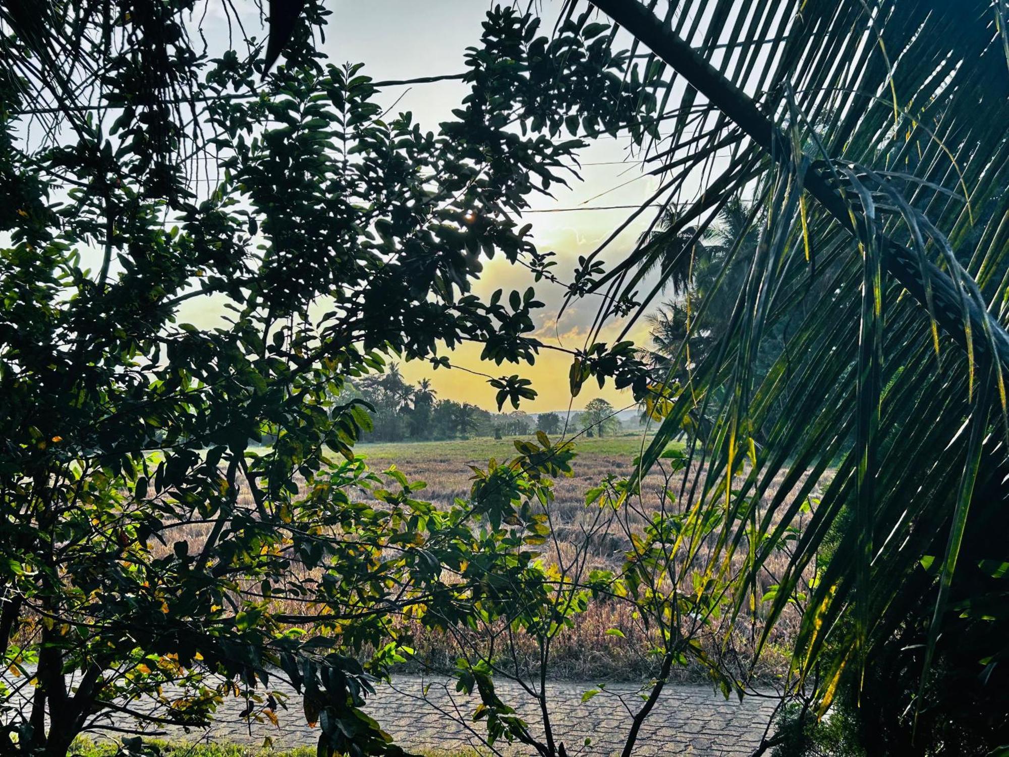 Windy Villa Polonnaruwa Exterior photo